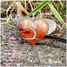 Charger l'image dans la galerie, Pendentif vitalité et réussite en Cornaline