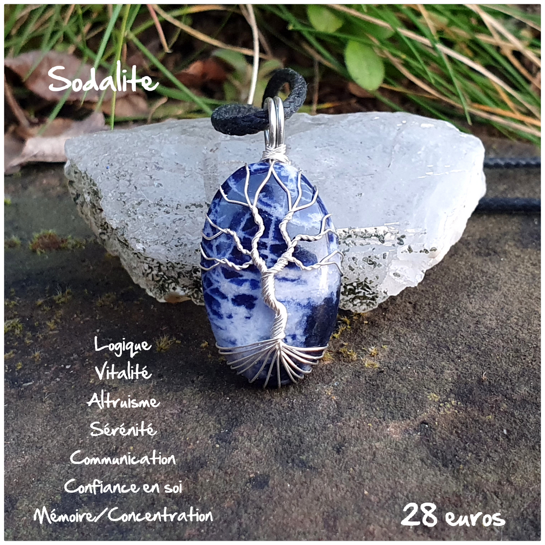 Pendentif confiance et contacts en Sodalite