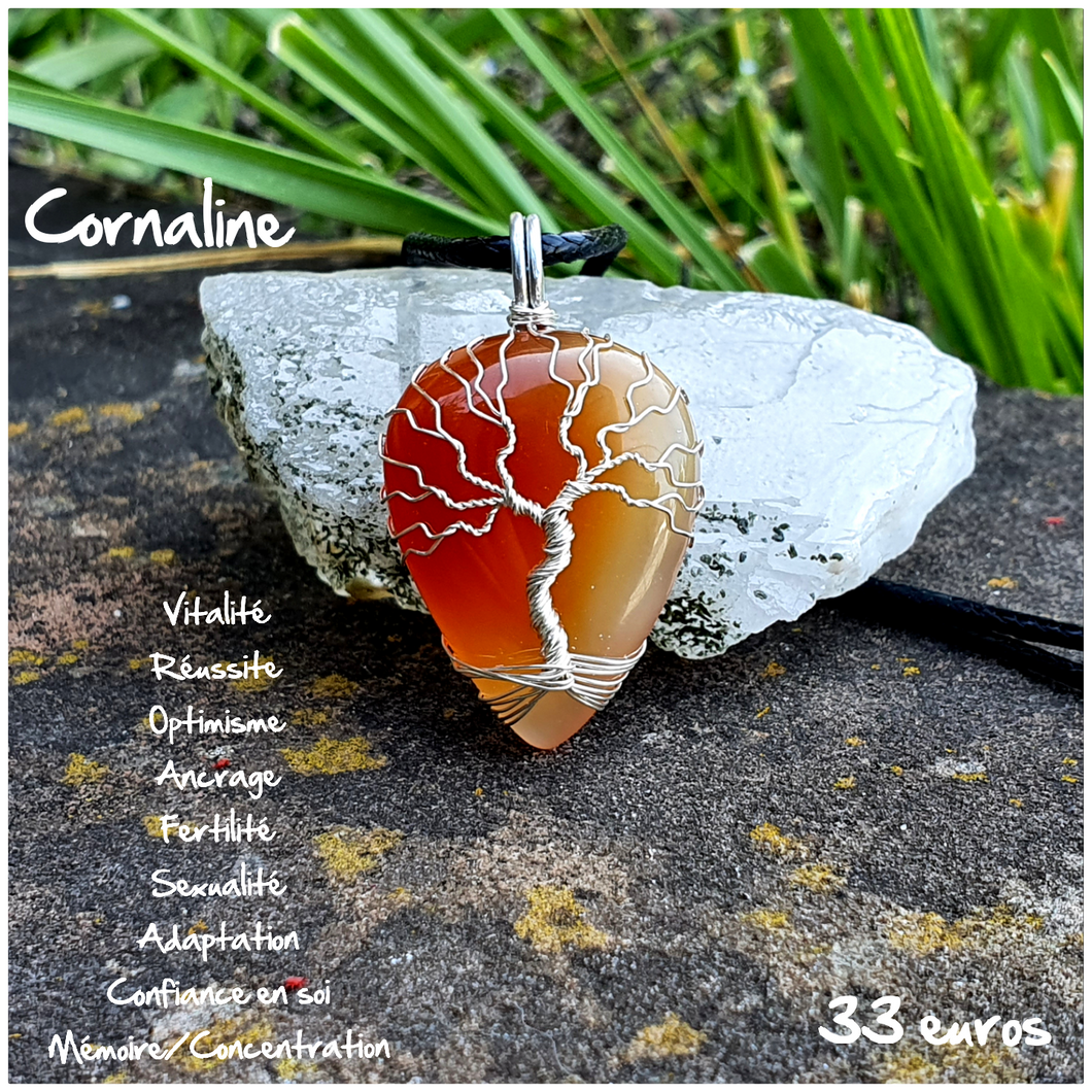 Pendentif vitalité et réussite en Cornaline